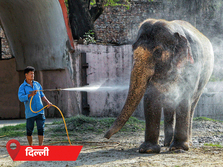 मध्य प्रदेश में पहली बार रात में लू का अलर्ट:महाराष्ट्र-छत्तीसगढ़ में ट्रैफिक पुलिस की ड्यूटी का समय बदला; मजदूर भी दोपहर में काम नहीं करेंगे